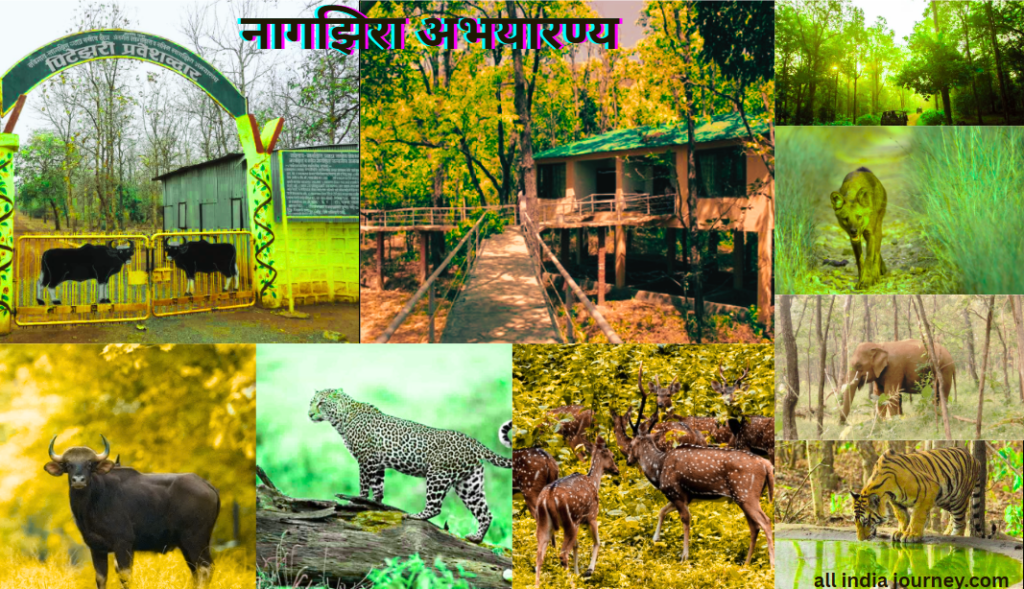 Top 15 Places Visit to in Gondia District